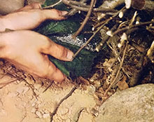 Step four: Add the magnesium shavings to the base of your pile of wood and kindling.